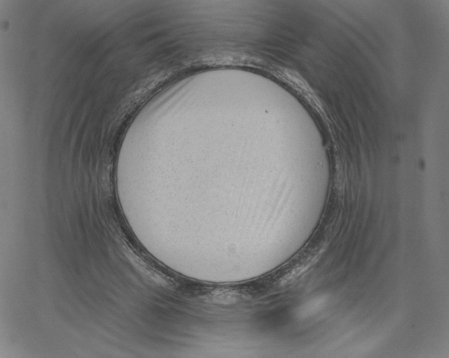 X0000062610441200601181633