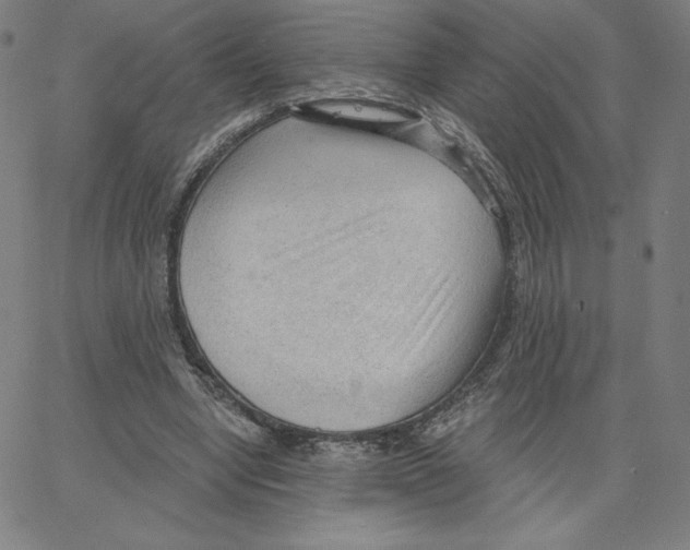 X0000062610442200601181633