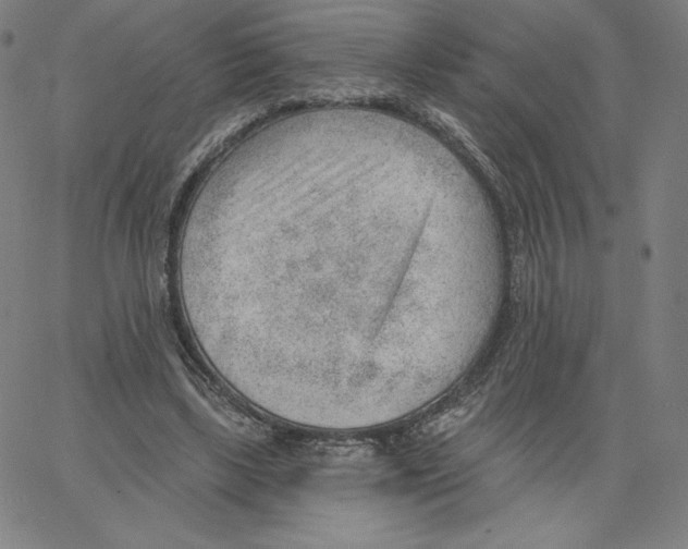 X0000062610443200601181633