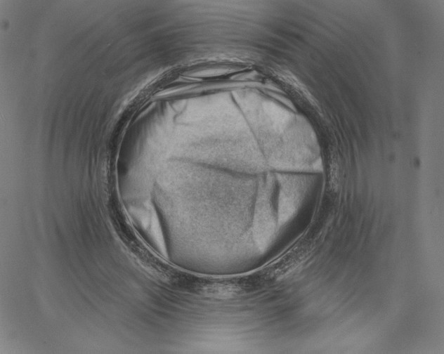 X0000062610444200601181633