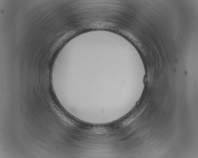 X0000062610445200601181633