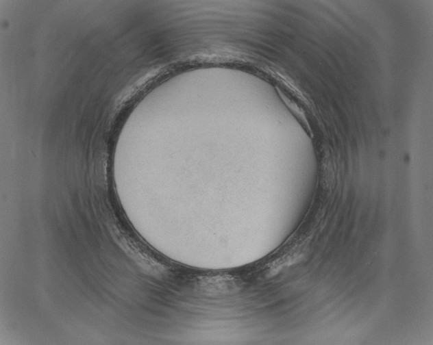 X0000062610446200601181633