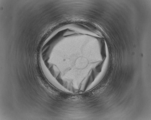 X0000062610447200601181633