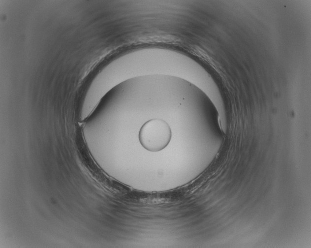 X0000062610448200601181633