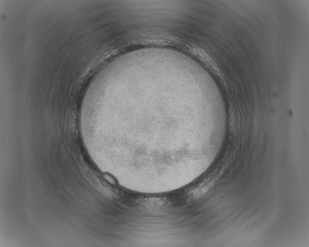 X0000062610449200601181633