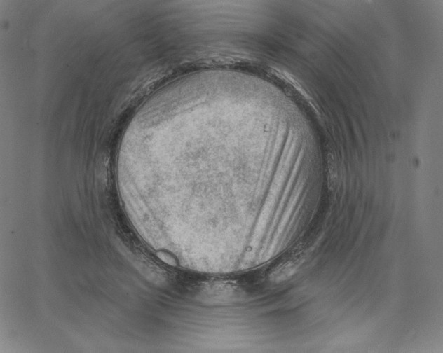 X0000062610451200601181633