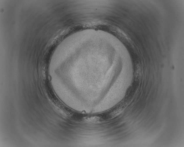 X0000062610452200601181633