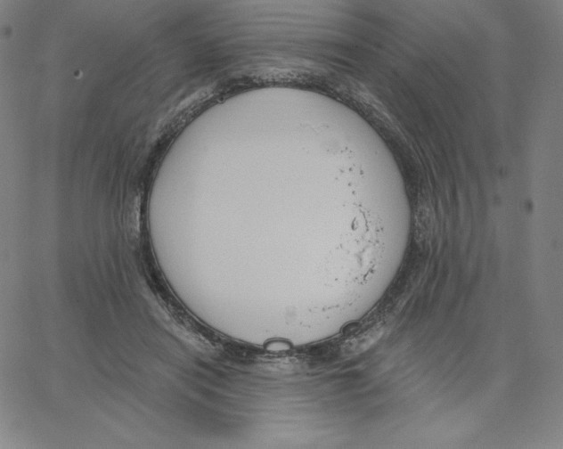 X0000062610454200601181633