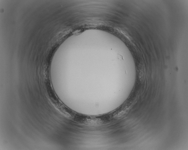 X0000062610455200601181633