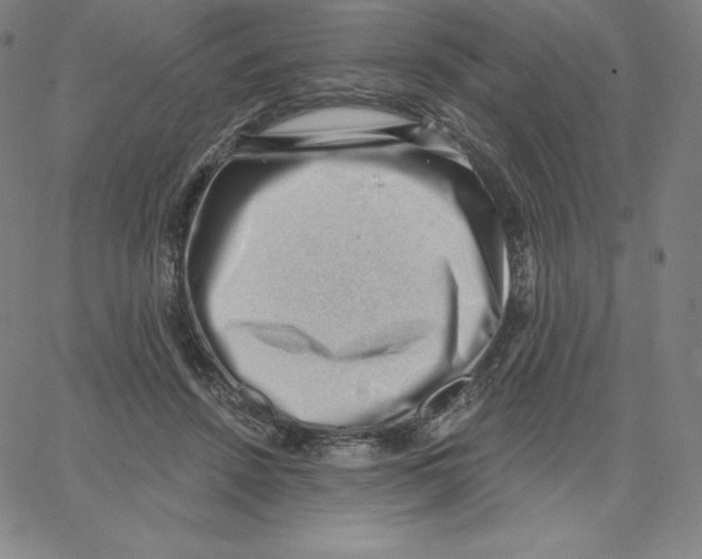 X0000062610456200601181633