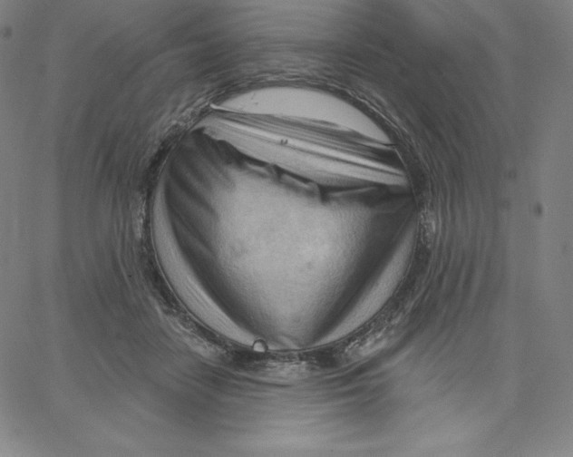 X0000062610458200601181634