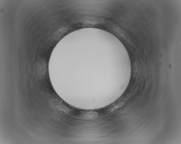 X0000062610463200601181634