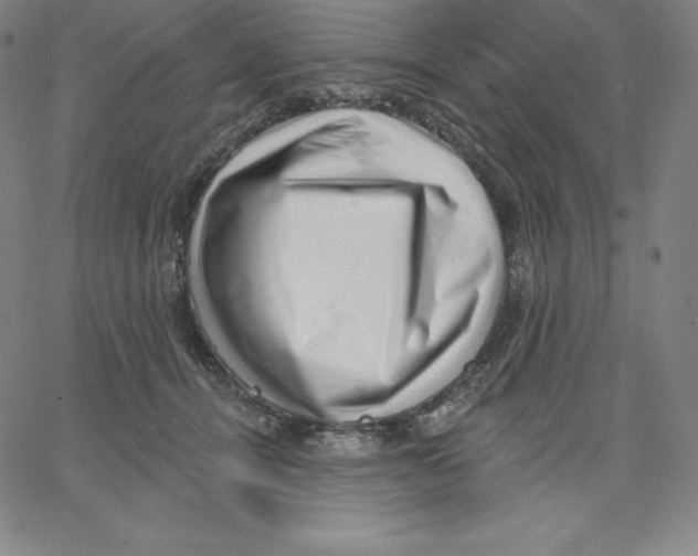 X0000062610464200601181634