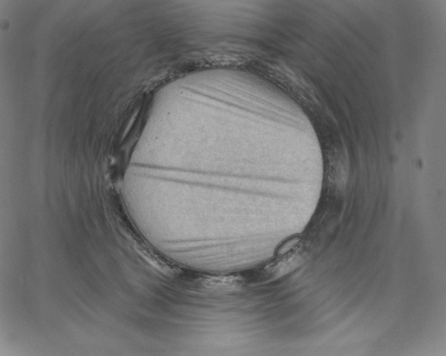 X0000062610465200601181634