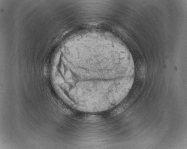 X0000062610467200601181634