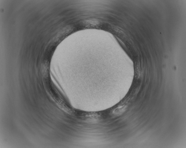 X0000062610468200601181634