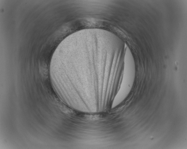 X0000062610469200601181634