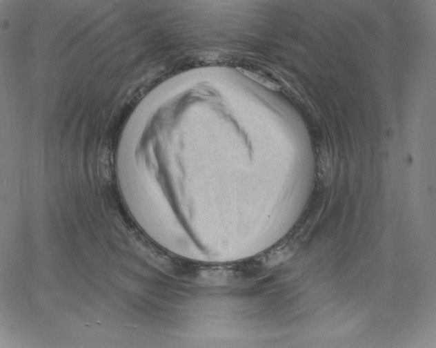 X0000062610470200601181634