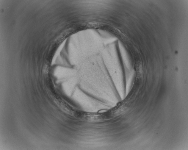 X0000062610472200601181634