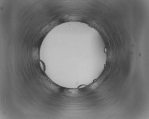 X0000062610478200601181634