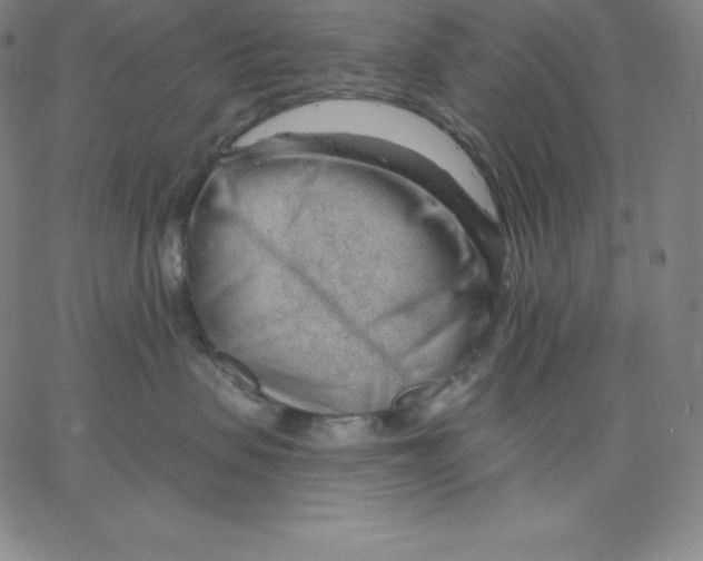 X0000062610479200601181634