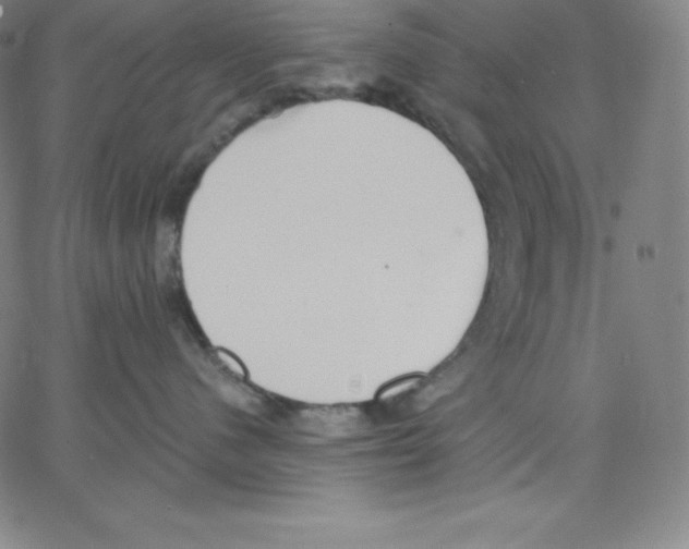 X0000062610480200601181634