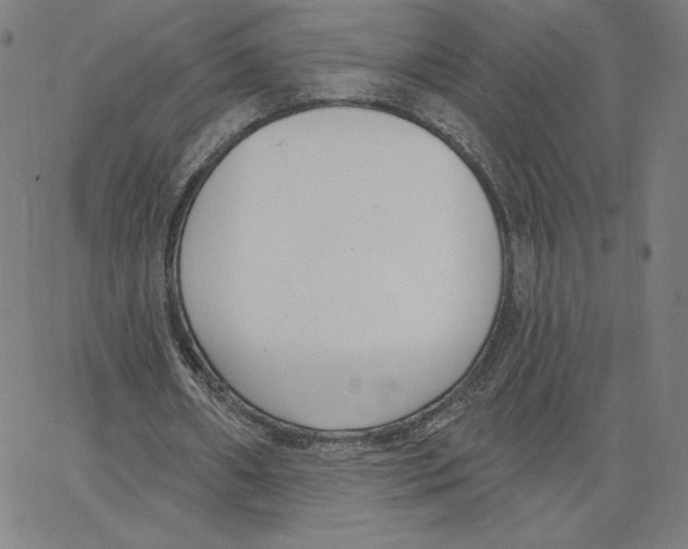 X0000062610482200601181633