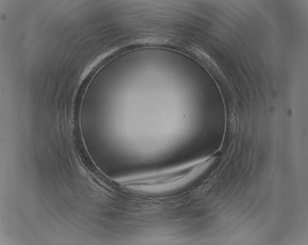 X0000062610484200601181633