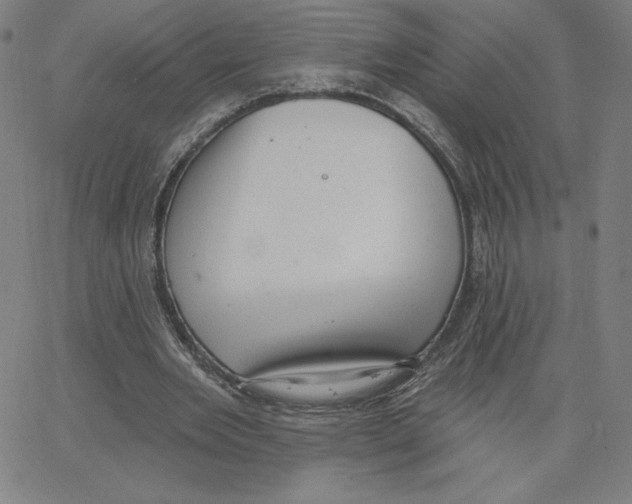 X0000062610485200601181633