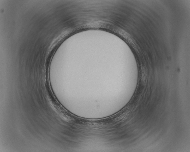 X0000062610486200601181633