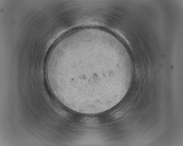 X0000062610487200601181633