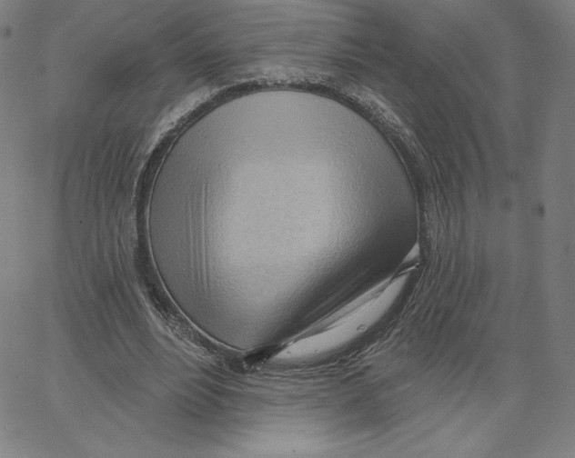 X0000062610488200601181633