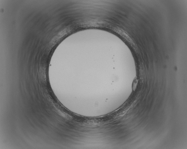 X0000062610489200601181633