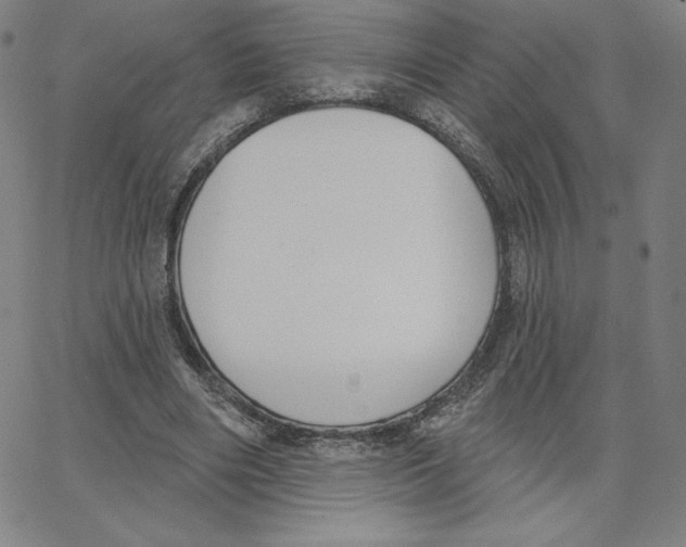 X0000062610490200601181633