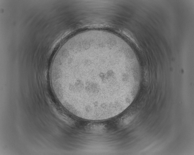 X0000062610491200601181633