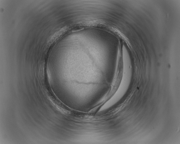 X0000062610493200601181633