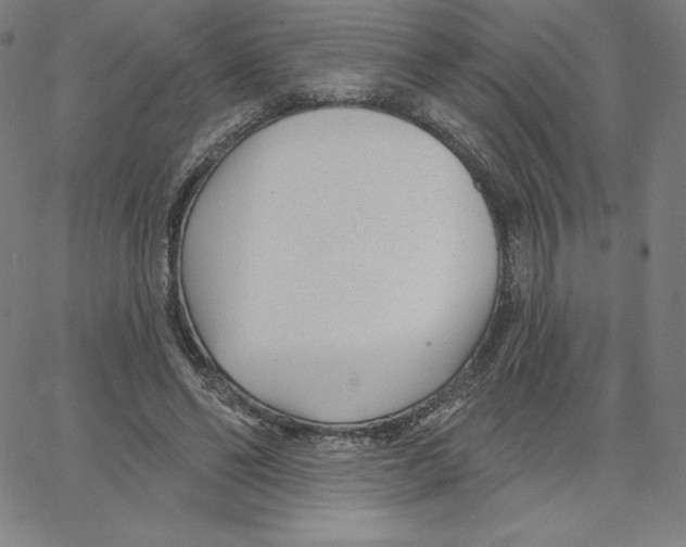 X0000062610494200601181633