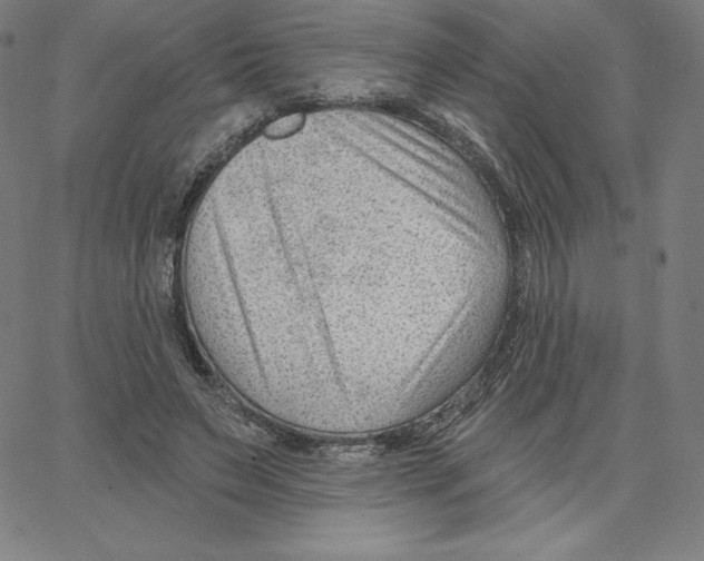 X0000062610495200601181633