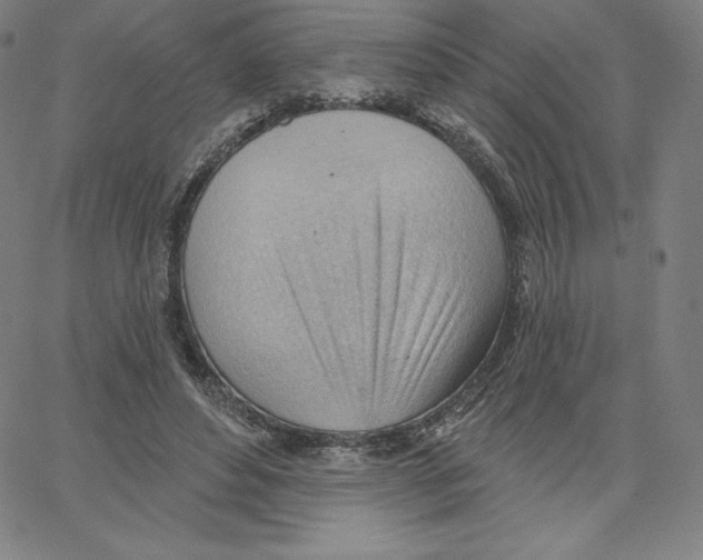 X0000062610496200601181633