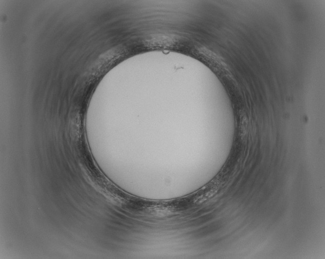 X0000062610498200601181633