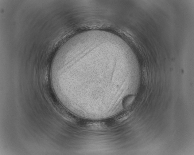 X0000062610499200601181633