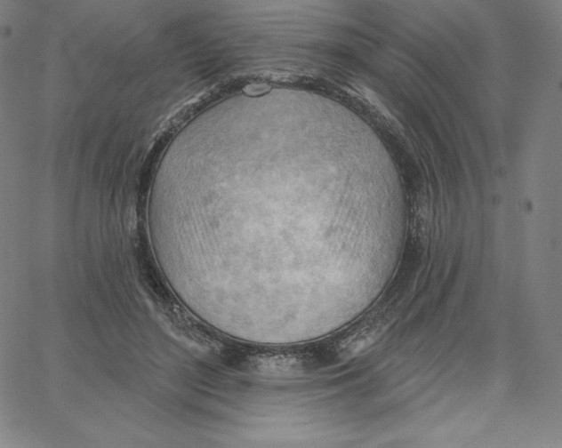 X0000062610500200601181633