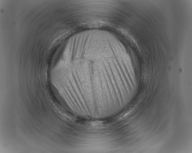 X0000062610501200601181633