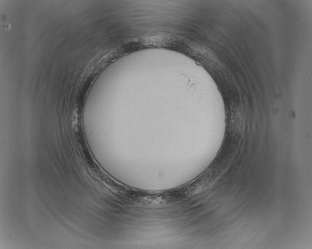 X0000062610502200601181633