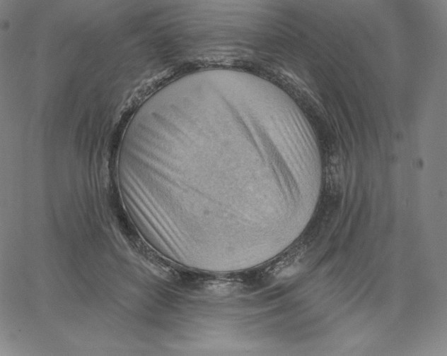 X0000062610504200601181633