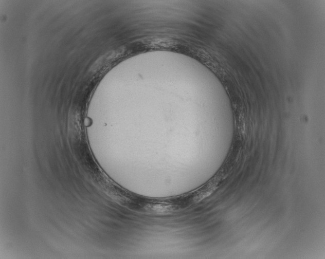 X0000062610506200601181633