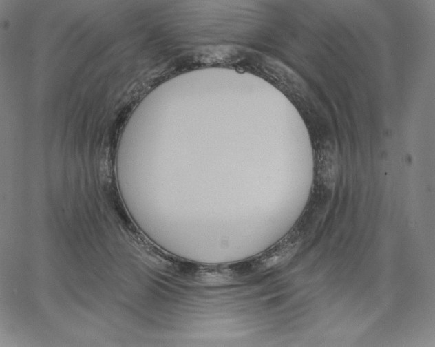 X0000062610510200601181633