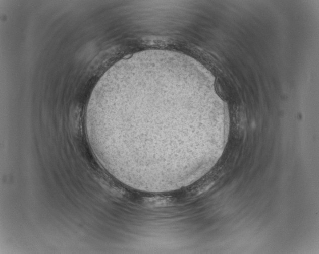 X0000062610511200601181633