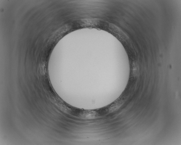 X0000062610514200601181633