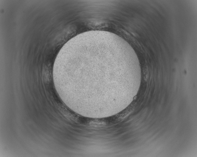 X0000062610515200601181633